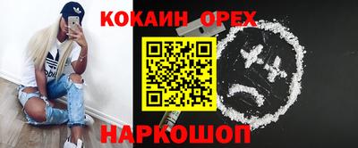 бошки Тара