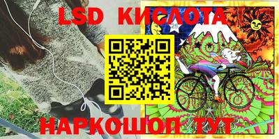 шишки Татарск