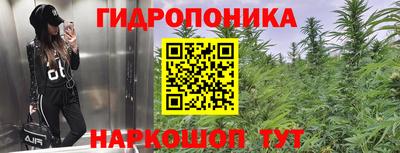 бошки Тара