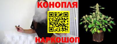 шишки Татарск