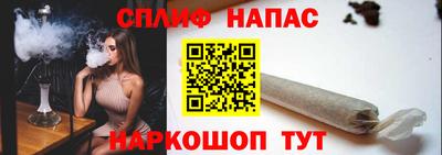 бошки Тара