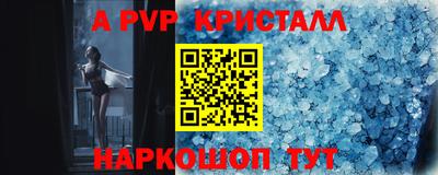 бошки Тара